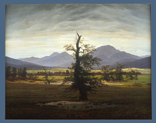 The Solitary Tree