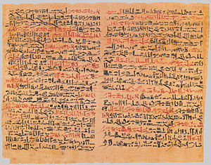 The Edwin Smith Papyrus (columns 6&ndash;7)