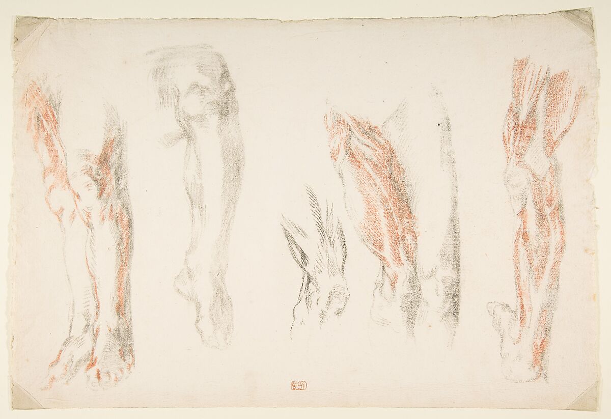 Anatomical Studies of Legs, Eugène Delacroix French, Counterproof of a drawing in red and black chalk, with black chalk additions