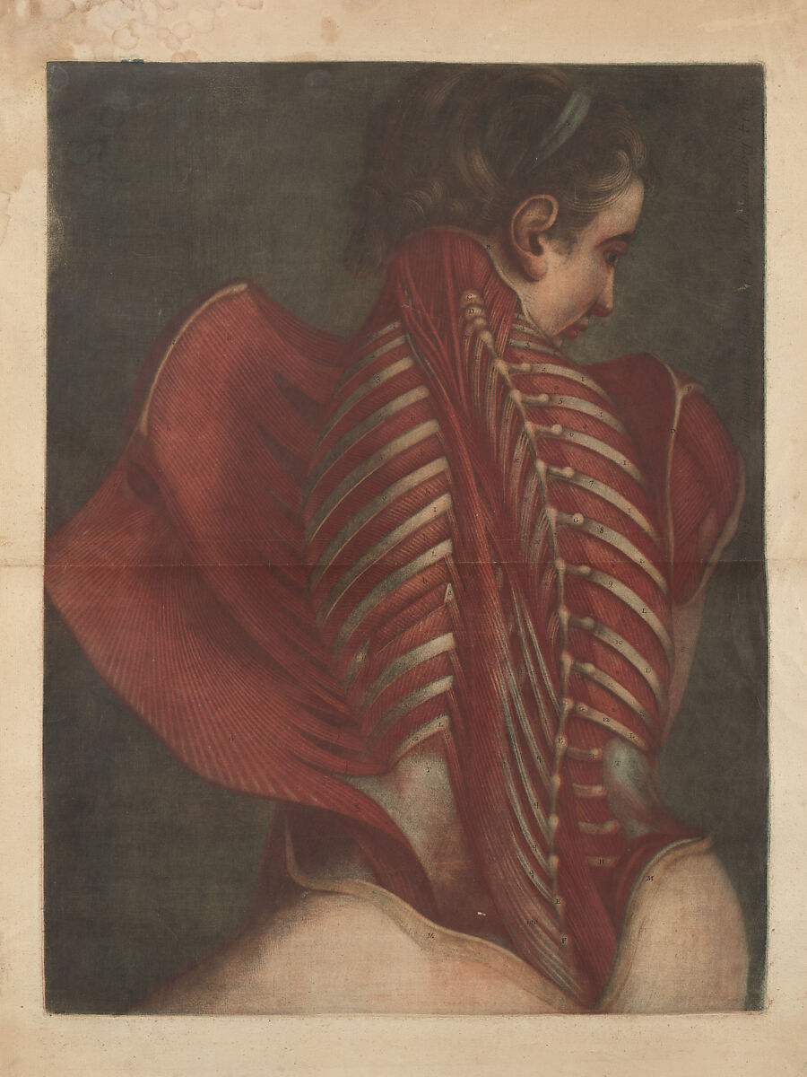 Myologie Complette en Couleur et Grandeur Naturelle, Joseph Guichard Duverney French, Illustrations: color mezzotints